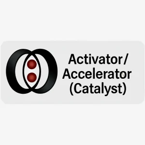 Accelerator Icone